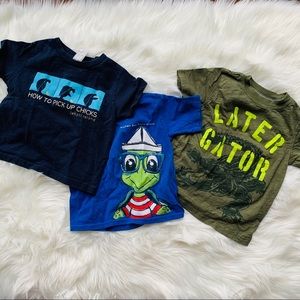 Lot of Three Toddler Turtle Tees Sz 2T